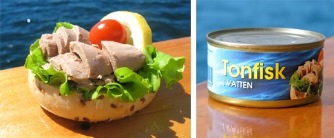 8462 - Tonfisk i vatte(Skipjack chunk